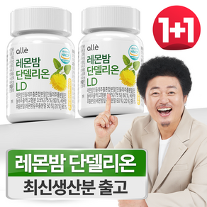 민들레 추출물 레몬밤 1200 단델리온 알레 600mg x 60정, 2개