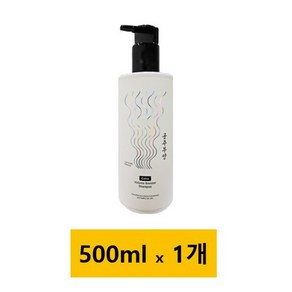 가히 공주부양 샴푸 볼륨 부스터 엑스트라 공중부양 500ml 11203548, 1개