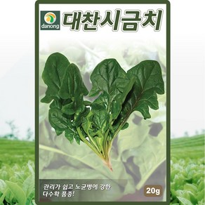 다농 대찬시금치 씨앗 20g 다수확 시금치씨 채소 종자, 1개