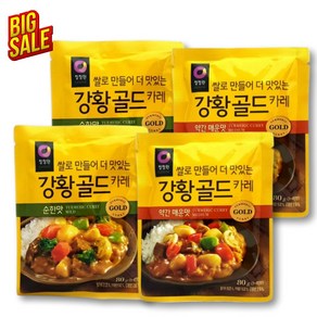 청정원 강황골드 카레 순한맛 80g 1개 + 약간매운맛 80g 1개 (총2개) 분말커리, 2세트, 160g