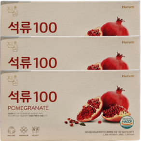 휴럼 진심 석류 100ml 48포, 2박스, 2400ml