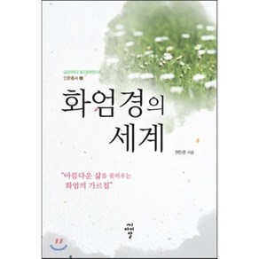 화엄경의 세계, 씨아이알