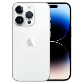 Apple 정품 아이폰 14 Po 자급제, 실버, 256GB