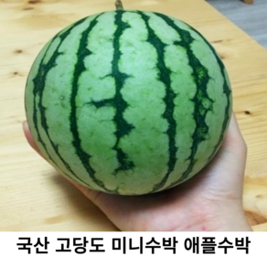 국내산 신선한 고당도 미니수박 1kg 국산 애플수박 꿀애플수박 설탕애플수박 1인가구