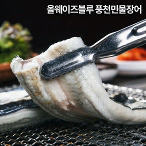 올웨이즈블루 고창 풍천민물장어 5kg, 1개