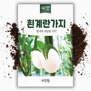 흰계란가지 씨앗 종자 50립 관상용 식용 가지, 1개