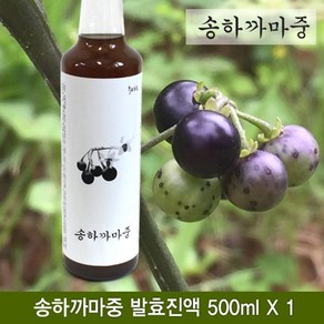 송하 까마중효소