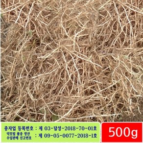 어성초생뿌리 500g - 잘키운 국산 어성초종자, 1개