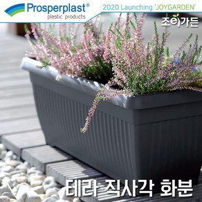 [조이가든] Pospeplast 테라 직사각 화분, 다크그레이