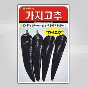 슬로시 열매 씨앗 종자 고추 가지 토마토 완두콩 녹두, 1개