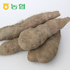 북안동농협 국산 안동 산마(특) 3kg/5kg, 산마 (특)3kg, 1개