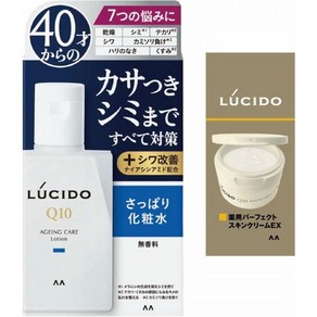 일본 루시도 Lucido Q10 토탈 케어 페이셜 로션 110ml 514131, 1개