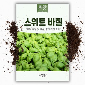 스위트 바질씨앗 바실 (2000립) Sweet Basil 바질키우기