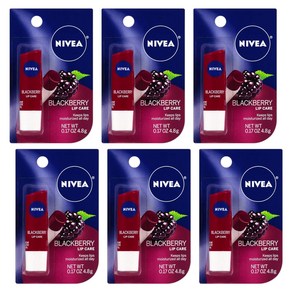 니베아 블랙베리 틴트 립밤 NIVEA 4.8g 4개, 6개, 6개 배송