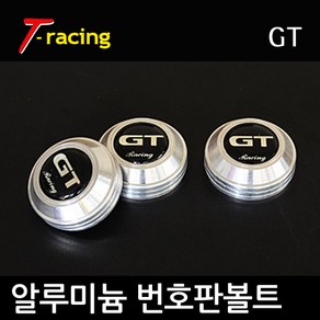 디씨몰 알루미늄 로고 번호판볼트, GT 크롬실버(3개1세트), 3개