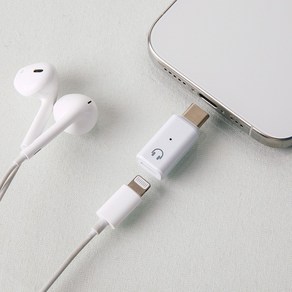 라이트닝 8핀 to usb c 타입 젠더 라이트닝 이어폰 사용가능, 1개, 그레이, 3cm