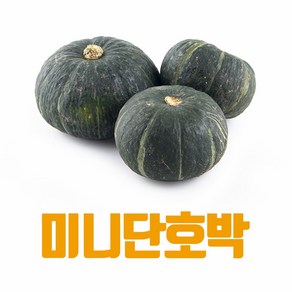 [산지직송] 국내산 미니단호박 밤 단호박 보우짱 달콤, 1박스, 미니단호박 1kg