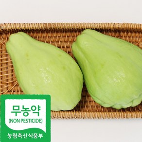 국내산 무농약 차요테 산지직송, 1박스, 5kg