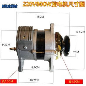 구리 와이어 소형 발전기 전기 자석 전압 모터 단상 220v 가정용, 220v 800w, 1개, 02 800W