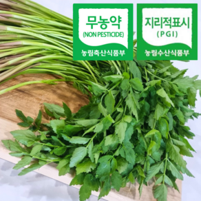 [미나리명인특상품] 당일수확배송 아삭향긋한 청도 한재미나리, 1박스, 3kg