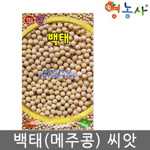 백태콩 씨앗 30g 메주콩 흰콩 종자, 1개