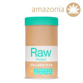 아마조니아 (Amazonia) RAW 단백질 보충제 콜라겐 바닐라 메이플 다이어트쉐이크, [09] 콜라겐 단백질 450g - 바닐라 메이플, 450g, 1개