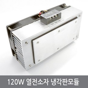 싸이피아 CON 120W 열전소자 냉각판모듈 펠티어냉장고 냉기모듈, 1개