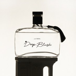 딥블러쉬 실내 방향제 대용량 디퓨저 본품+스틱6p 세트, 블랑쉬, 500ml, 1개