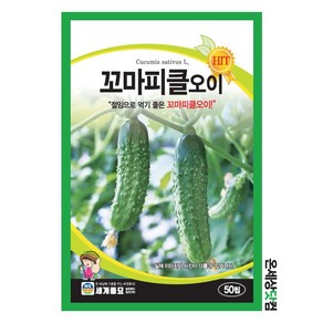 꼬마피클오이 50립 / 씨앗 종자 텃밭 오이 식재료 절임 샐러드, 1개