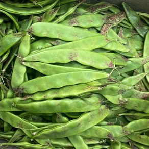 [금성식품] 유떠우죨 이댄홍채당콩 볶음용500g, 1개