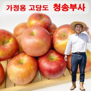 [농장직송]경북 꿀통 부사사과 가정용 고당도 햇사과, 1박스, 10kg