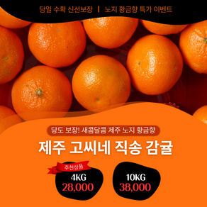 특가상품 저농약 제주 노지 황금향 4키로 10키로 산지직송 제주 고씨네, 1박스, 4kg