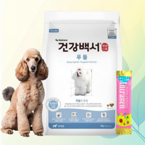 건강백서 푸들 강아지유산균증정 기능성 강아지사료, 2kg, 1개