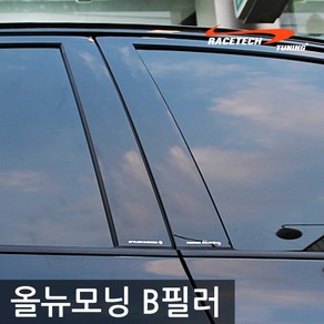 레이스텍 올뉴모닝 B필러 미러플레이트(4P) / 기둥몰딩