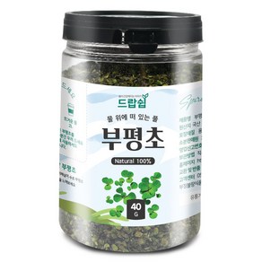 드랍쉽 부평초(국산) 40g(통) 개구리밥