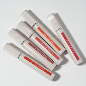 [본사정품] 웨이크메이크 Wakemake 워터 블러링 픽싱 틴트 20COLOR (단품/기획) WATER BLURRING FIXING TINT 20COLOR (SINGLE/SET), 16 모비쉬 핑크, 3.5g, 1개