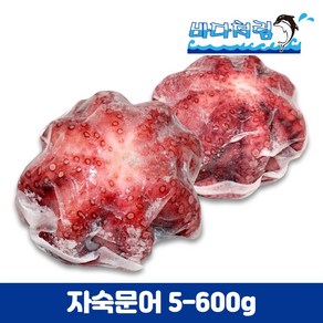 자숙문어 500/600g 필리핀 문어숙회 문어튀김 삶은문어, 1개