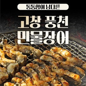 진심밥심 자포니카 민물장어 650g 보양식 양념장 생강채 포함 진공포장 건강선물 캠핑음식