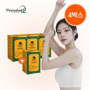 프리미웰 프리미엄 브이핏효소 400만역가 2.5g x30포, 4박스, 75g