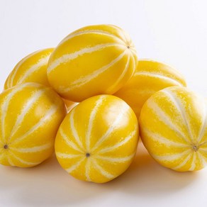 성주 참외 당도선별 아삭한 못난이, 1개, 2kg 혼합과