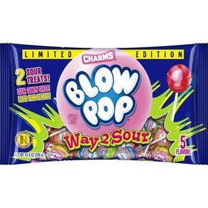 Chams Blow Pop Edition Way2Sou Lollipops 10.4 oz Ba 참 블로우 팝 한정판 Way2Sou 막대사탕 10.4온스 가, 1개, 294g