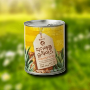 노브랜드 파인애플 슬라이스 850g 1통 간편한, 1개