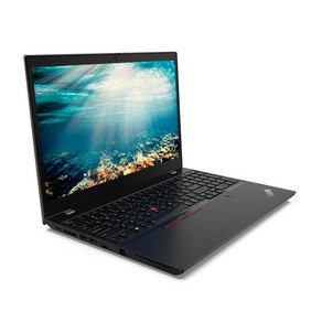 레노버 2021 ThinkPad L14 GEN2, Black, 코어i5, 256GB, 8GB, WIN10 Po, 20X1S07100