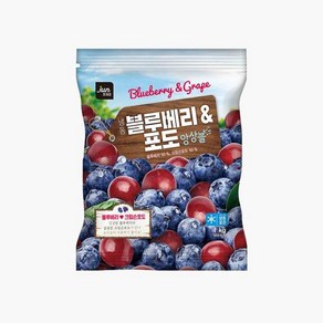 [웰팜]호재준 블루베리 포도앙상블 1kg x 1팩, 1개