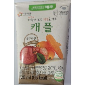 아워홈 아워홈 제주가 보낸 폴라비 음료 125ml x 40개