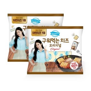 동원 덴마크 구워먹는치즈 500g x 2 코스트코, 2개