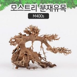 아쿠아시스템 모스트리 분재유목 S (M400s), 1개