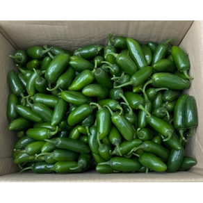 [농가직송 가정용] 진주 퍼펙트고추 못난이 5kg/10kg - 맛있게 매운 할라피뇨 신선한 산지직송, 1박스, 5kg