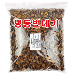 번데기 냉동번데기 1kg 국민간식 안주 뻔데기, 1개