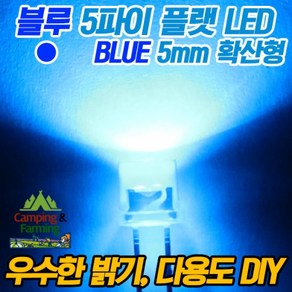 5파이 플랫 확산형LED(블루/DIY용/다용도/교재용), 100개, 1개